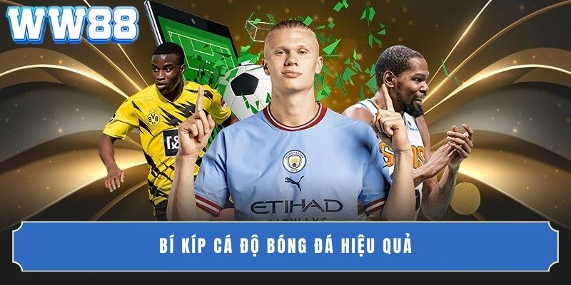 5 bí kíp chơi cá độ bóng đá hiệu quả