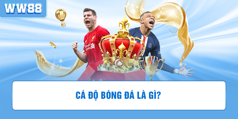 Giới thiệu tổng quan về cá độ bóng đá