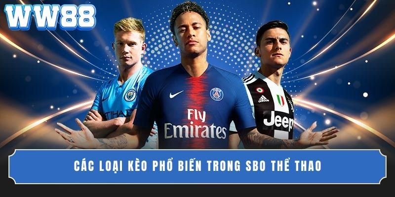 Các loại kèo phổ biến trong SBO thể thao