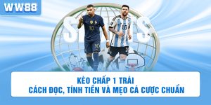 Kèo chấp 1 trái: Cách đọc, tính tiền và mẹo cá cược chuẩn