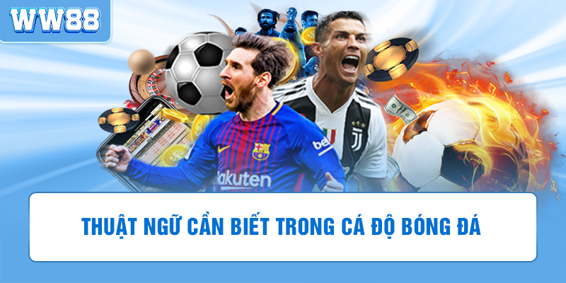Những thuật ngữ cần nắm bắt khi chơi cá độ bóng đá